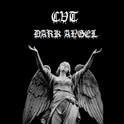 CVT (feat. Catvlyst & YSZ) - Single