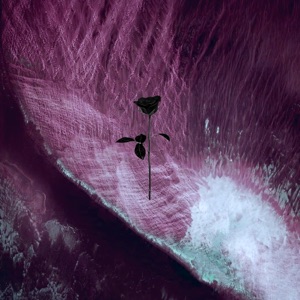 On Fire - Single