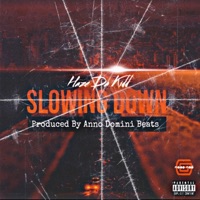 Slowing Down - Single - Haze Da Kidd