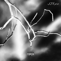 .556, Pt. 2 - Single - NUKI, Piques & Elipe
