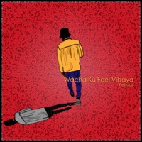 Wacha Ku Feel Vibaya - Single - Petrooz
