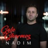 Gole Ghermez - Single