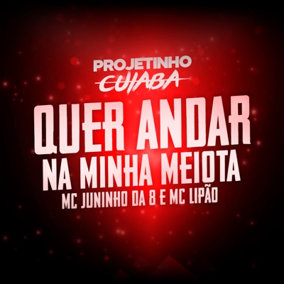 Quer Andar na Minha Meiota - Single