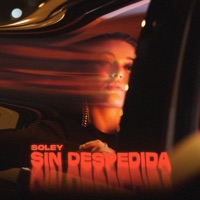 Sin Despedida - Single - Natasha Soley