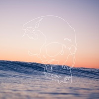 Bounce Back - Single - vowl.