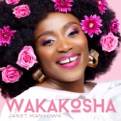 Wakakosha artwork