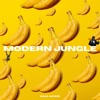 Modern Jungle - Single