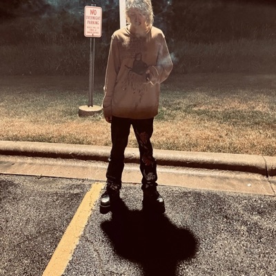 Necrosis (feat. Deathgoesby) - Single