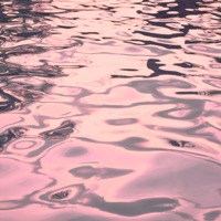 SHAKEMUP - Single - Watermane