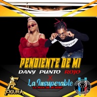 Pendiente de Mi (feat. La Insuperable) - Single - DANY PUNTO ROJO
