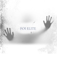Foi Elite (feat. MC dk 011) - Single - Vzkoficiall
