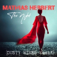 The Night - Single - Mathias Herbert