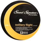 Solitary Flight artwork
