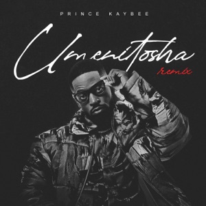 Umenitosha (feat. Polaris) - Single