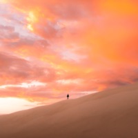 Let You Go (feat. IIWI) - Single - dawnpatrol