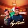 Gratitude (feat. STONE D) - Single