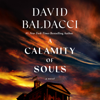 A Calamity of Souls - David Baldacci