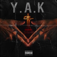 BEBE (feat. Vnas) - Single - YAK