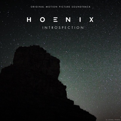 Introspection - Single