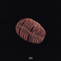 So Good Tho (feat. DELAFAT, Starr Chen) - Single - Dizzy Dizzo