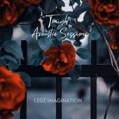 Tonight (Acoustic Version) - Single