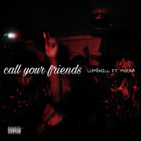 Call Your Friends (feat. It's Mocka) - Single - Lumehill