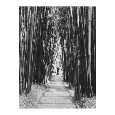 In Colour - Single