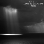 Awake To Escape From Abyss artwork