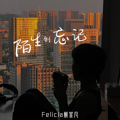 陌生到忘记 - Single