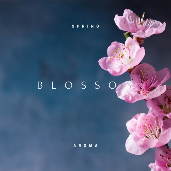 Blossom - EP