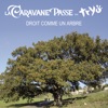 La Caravane Passe - Droit comme un arbre (feat. Tryo)