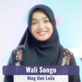 Wali Songo artwork