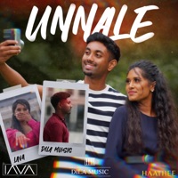 Unnale (feat. Lava) - Single - Dila R