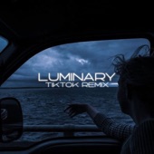 Luminary (TikTok Remix) artwork