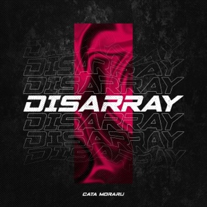 Disarray