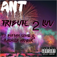 Tribute 2 Luv (feat. Rasheed Armour & Buttah Souss) - Single - Dj @NT