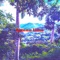 Lemon Lime - Deckeree lyrics