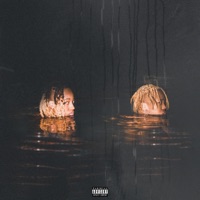 WAVES NEVER DIE - Champagne69