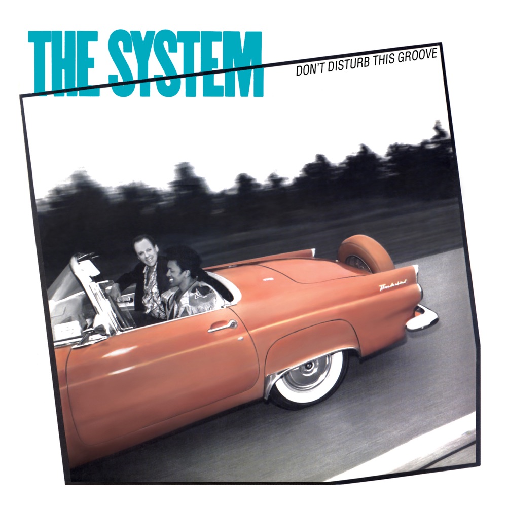 Обложка альбома «Don’t Disturb This Groove» — The System