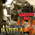MAQUINA 501