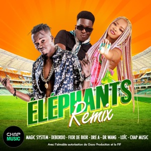 Elephants (feat. Debordo Leekunfa, Dre-A, Fior de bior & Loïc) [Dr Wang Remix]