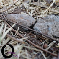 Inside My Heart Is Hurting - Single - Omanji Sinkala