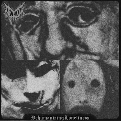 Song - A Miserable Life... - Decalius