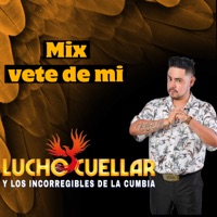Mix Vete de Mi (Vete de Mi / Mala Hierba)