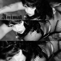 ANIMAL - Single - VARINIA