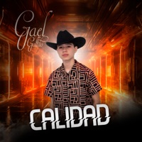 Calidad - Single - GaelGallito