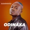 Odinaka - Sugarhrated lyrics