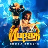 Снова вместе cover art