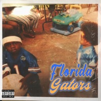 Florida Gators - Single - Bigskiis