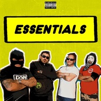 ESSENTIALS (feat. MYAGI, CHEEKZ & the VESSEL) - Single - SKIVZ